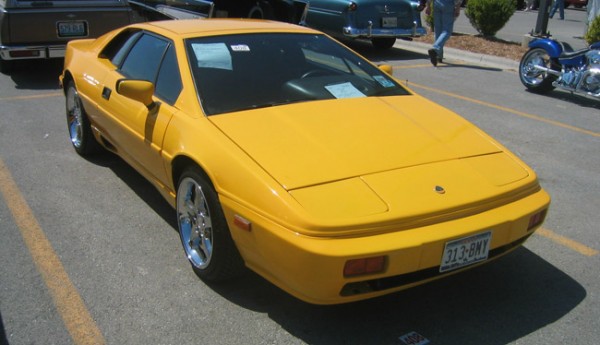 The “Pretty Woman” Lotus is a Winner