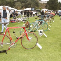 Italian Bicycles Join the Festivities at Concorso Italiano