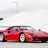 F40 and F50 Showdown in Amelia