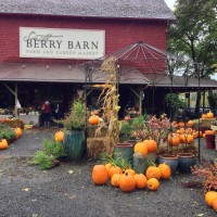 the-smith-berry-barn-in-hillsboro-or