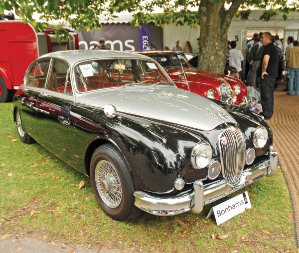 A Classy Cat With Claws