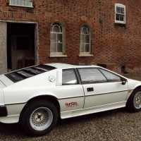1981-lotus-esprit-turbo-back