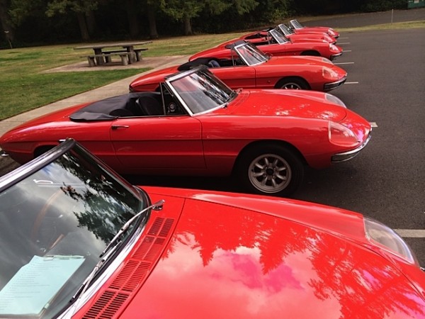 Every Day is Alfa Day – Exercising the Duetto and the GTV