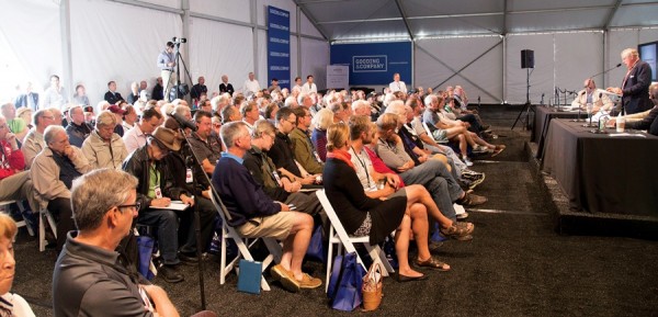 A Glimpse of Pure Passion