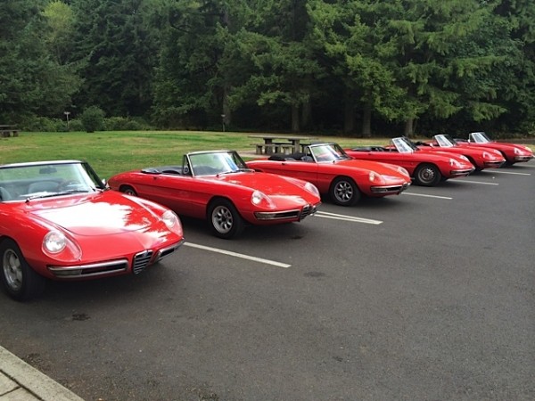 What My Cars Want for Christmas