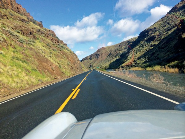 No Regrets in the Morning