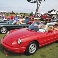 The Amazing, Affordable Alfa Spider