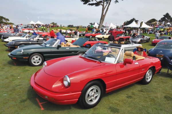 The Amazing, Affordable Alfa Spider