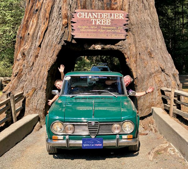 On the Road to Recovery