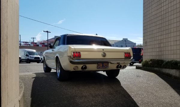 Jim’s Blog: Meet the ACC Mustang!