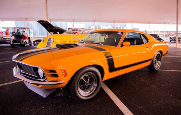 The Complete Experience