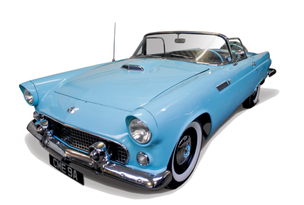 Soaring with the ’Birds