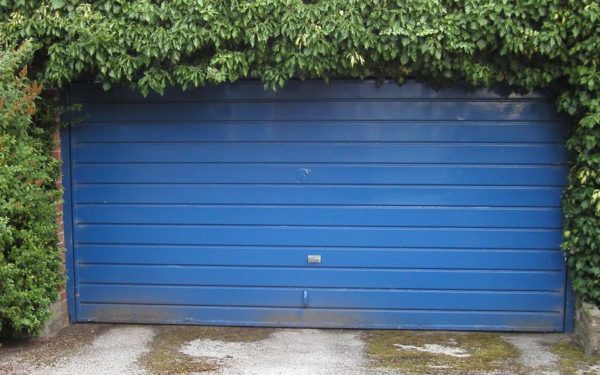 Jim’s Blog: What’s Hiding in Your Neighborhood?