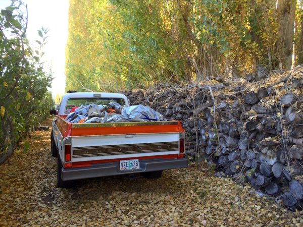 Jim’s Blog: Tending the Fire