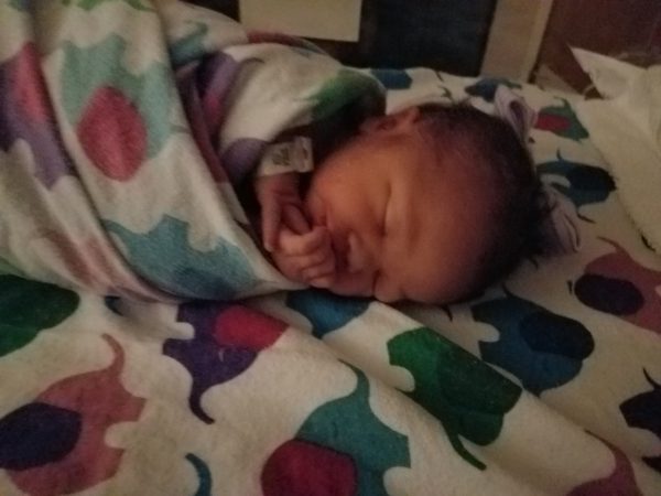 Jim’s Blog: The Newest Model is Here