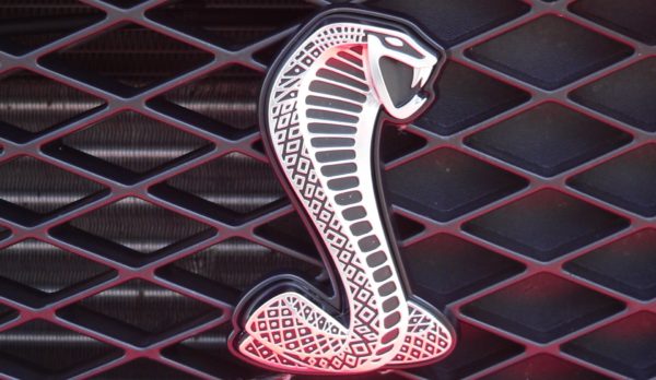 Jim’s Blog – Big Power Daily Drivers: Five Best Bets in Modern Muscle