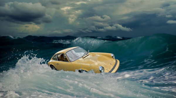 Weather-Worn and Waterlogged