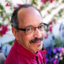 Steve Johnson Avatar