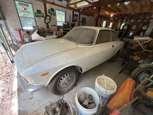 Rory’s Blog: Alfas at Auction